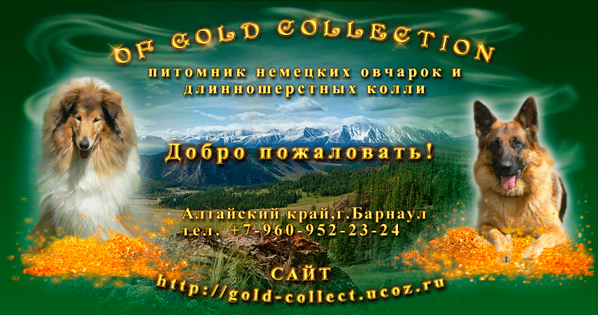 http://gold-collect.ucoz.ru/design/forum.gif